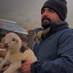 دانلود آهنگ مهدی کارگر داد بیداد