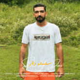 دانلود آهنگ مازندرانی علیرضا عباسی سلسله دار