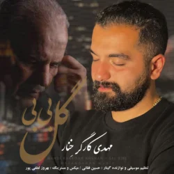 آهنگ مهدی کارگر امروز چند روزه من بی نازنینم گل بی بی یار من